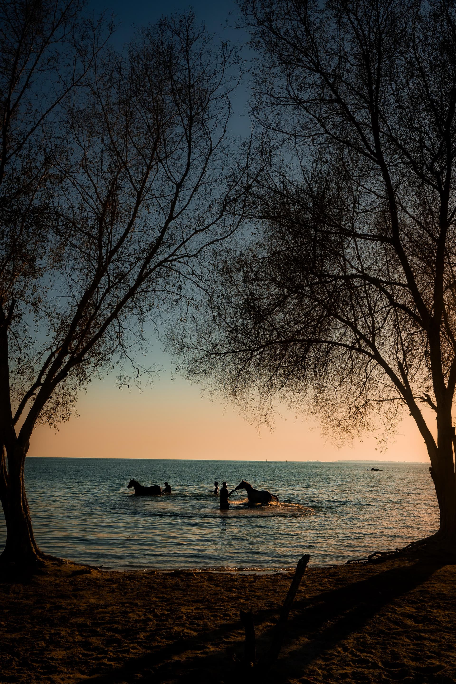Beaches 15