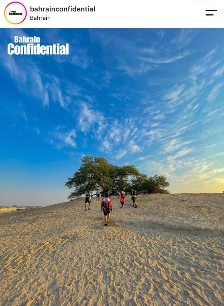 The Tree of Life, Listed in Bahrain Confidential's Best in Bahrain series