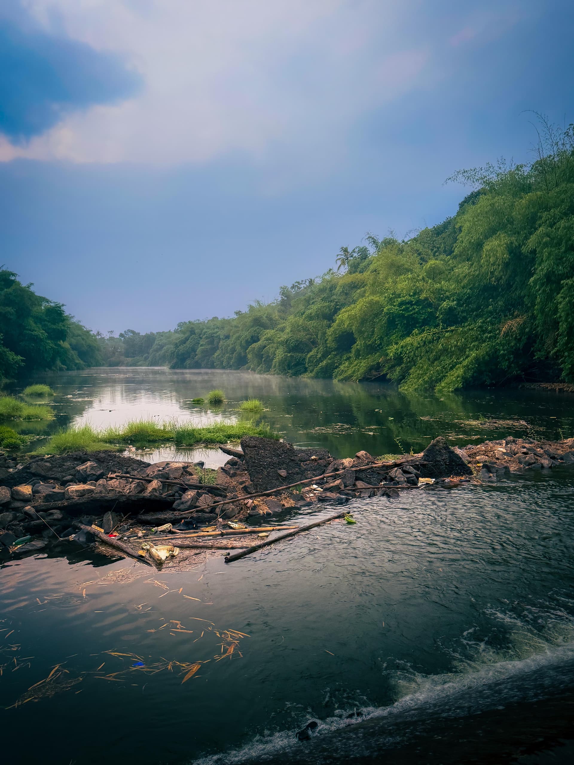 Nature 6