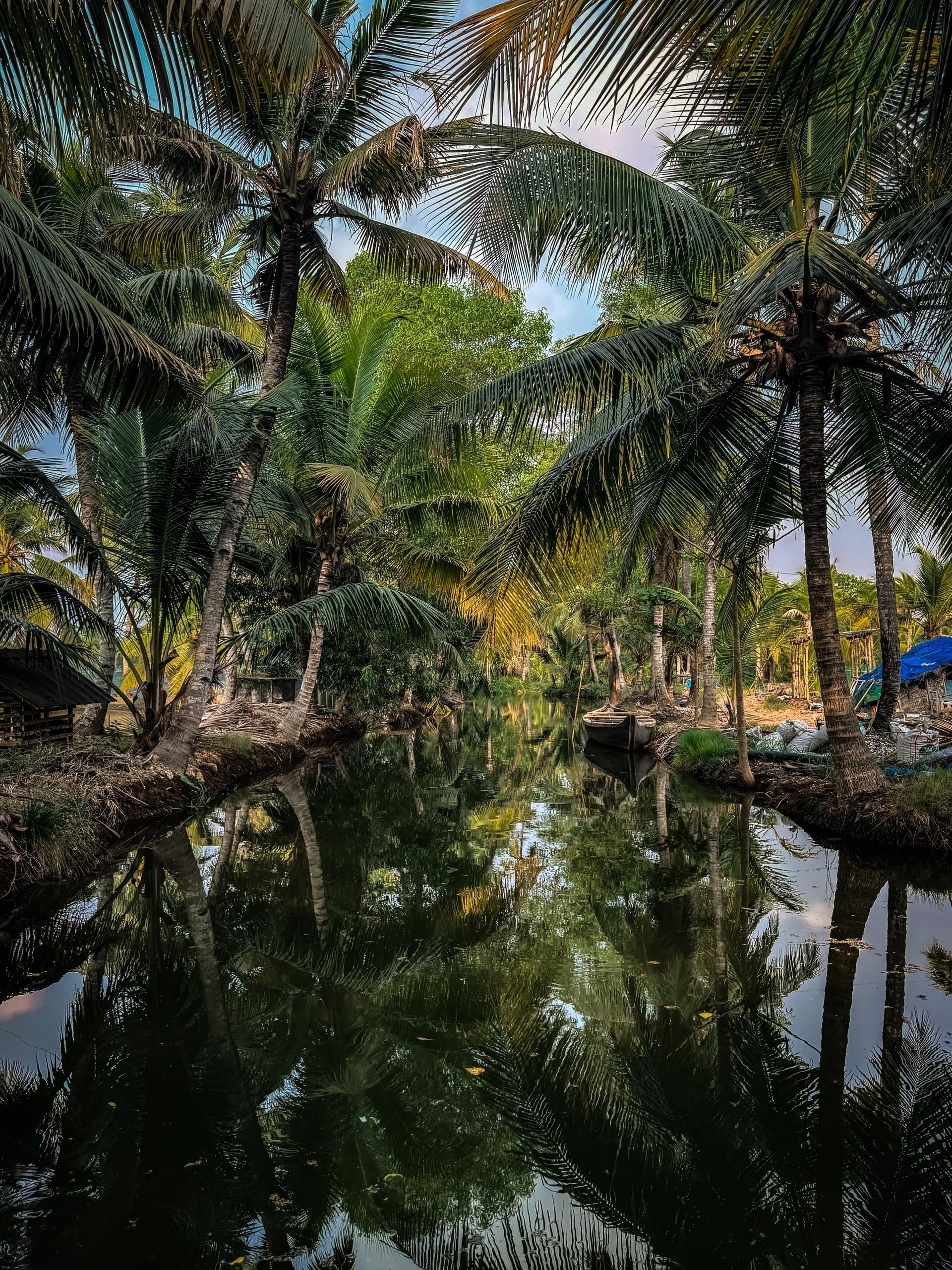 Nature 7