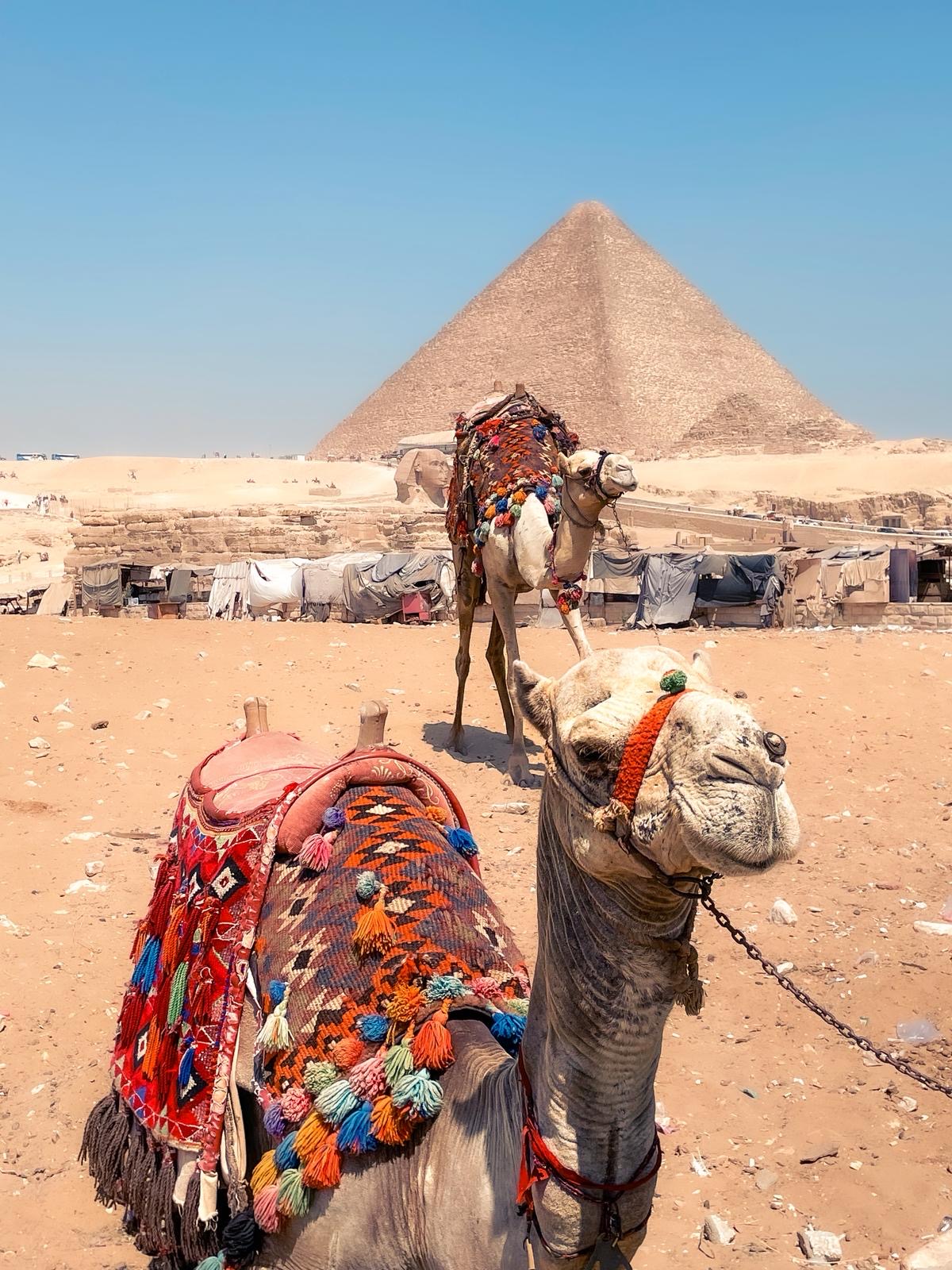 Egypt 6