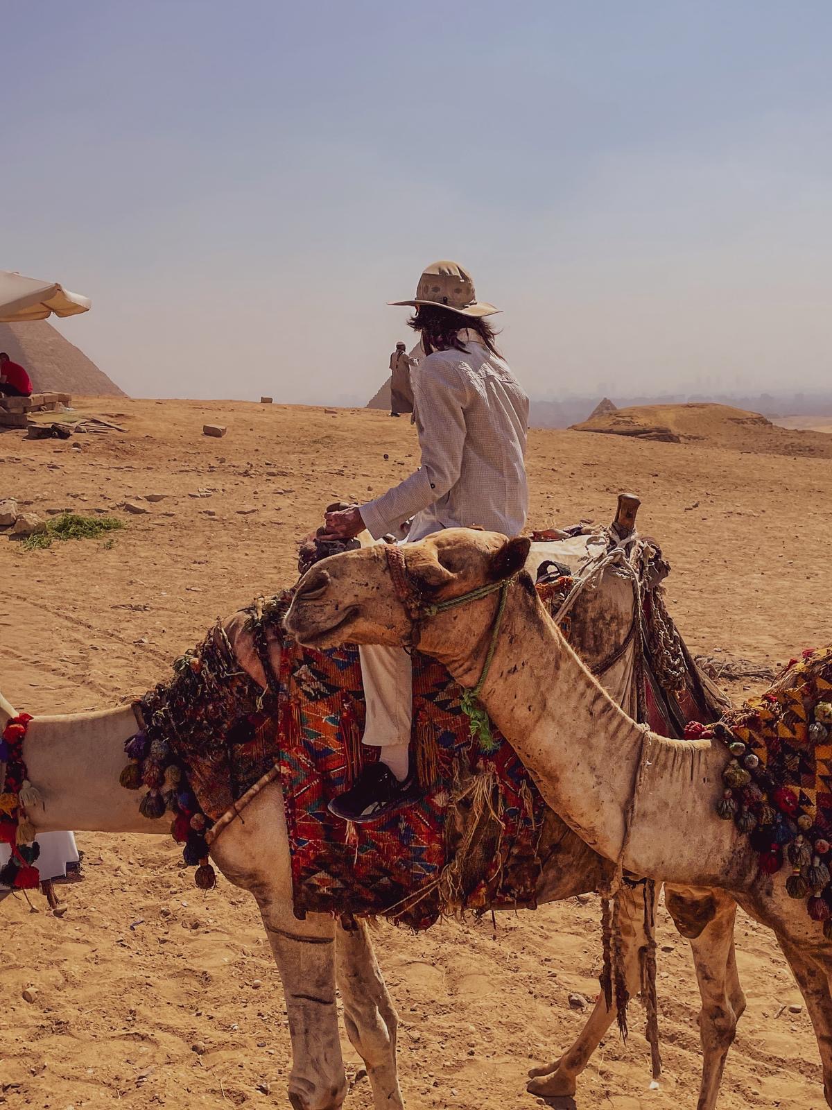 Egypt 6