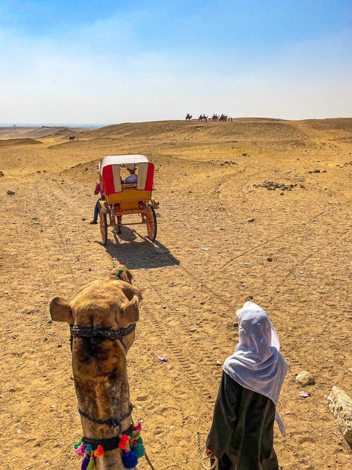 Egypt 4